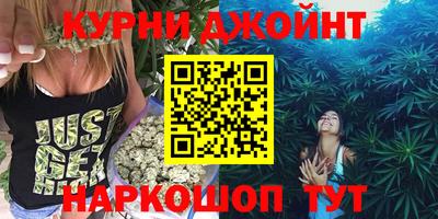 сатива Будённовск